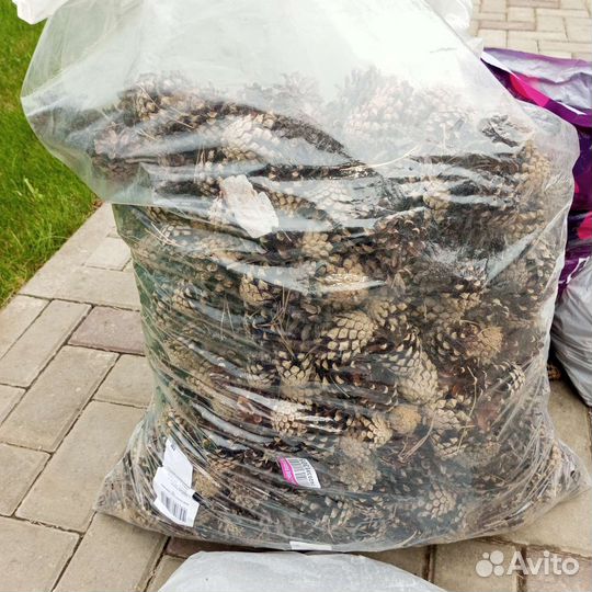 Шишки для мульчирования и декора