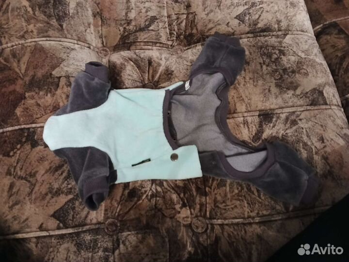 Одежда для маленьких собак