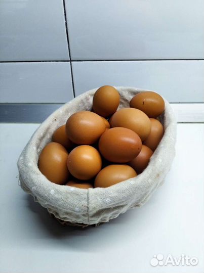 Домашние куриные яйца