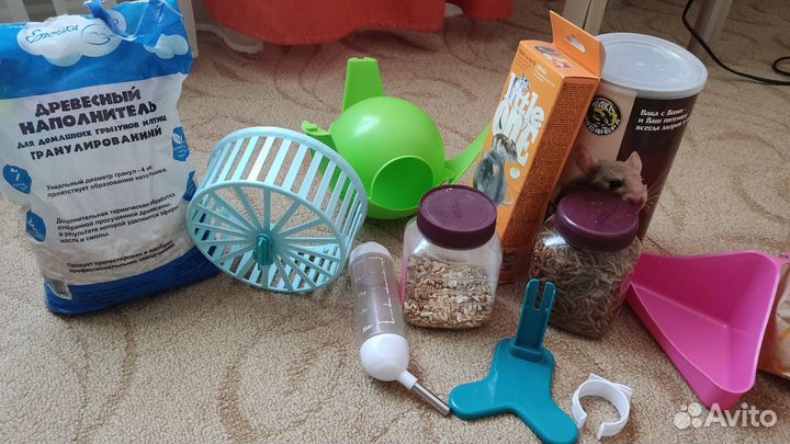 Еда, лакомства, аксессуары для крыс пакетом