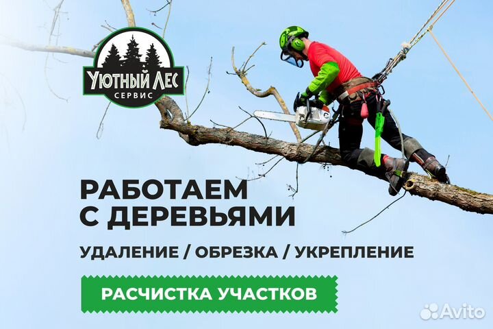 Спил деревьев. Обрезка. Расчистка участка
