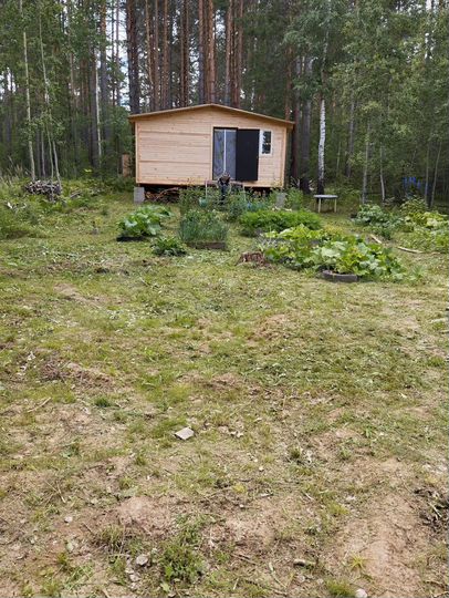 Участок 10 сот. (ИЖС)