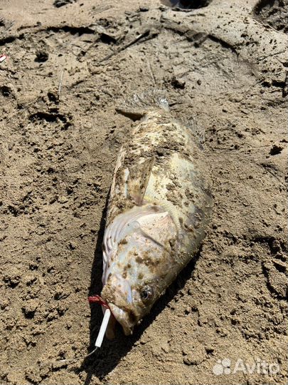 Снасть резинка