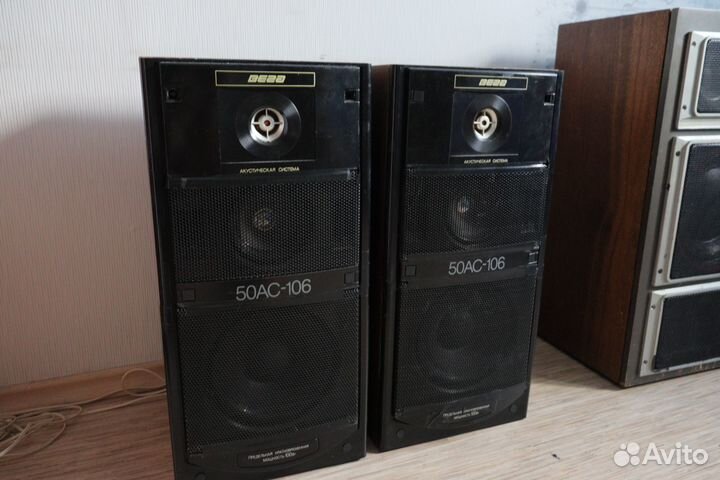 Акустические колонки вега 50 ас-106