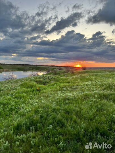 Рыбалка, беседки, отдых