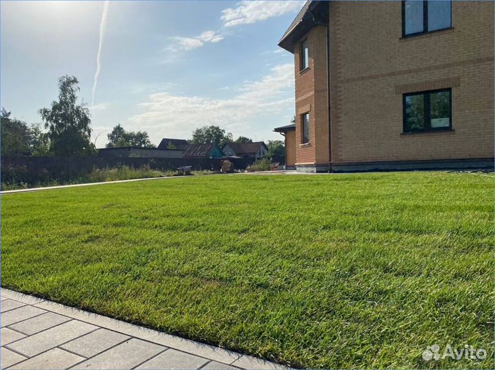 Рулонный газон от производителя