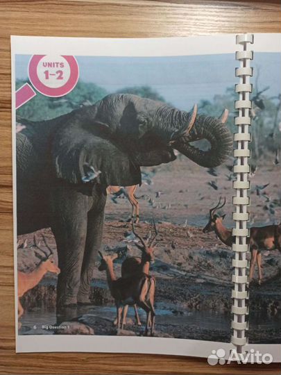 Oxford Discover 1, 2, 3, 4, 5, 6 второе издание