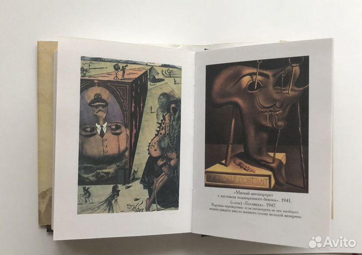 Сальвадор Дали, Дневник одного гения