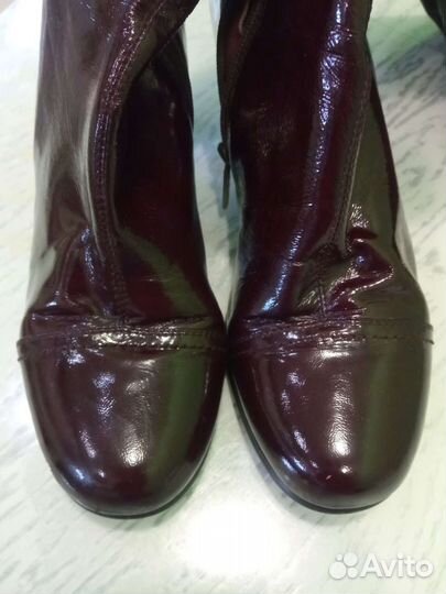 Сапоги женские