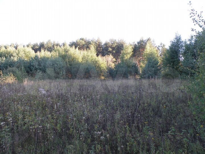 Участок 2,7 га (ИЖС)