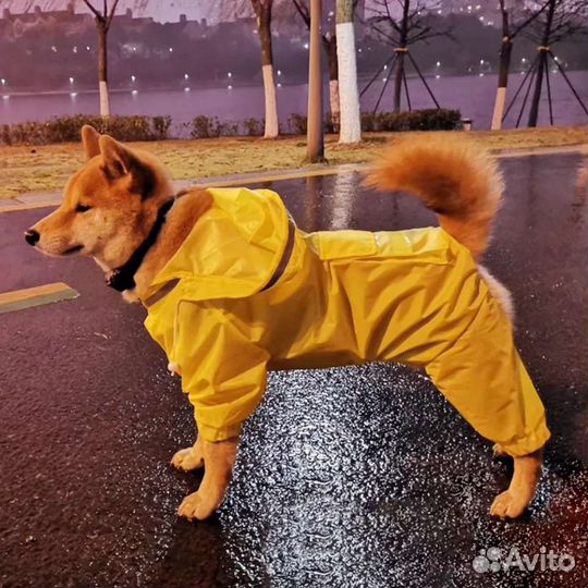 Дождевик для собаки