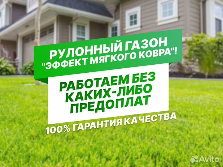 Рулонный газон