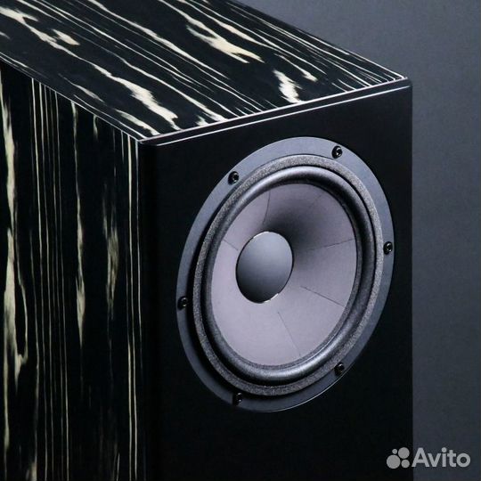 Напольная акустика Davis Acoustics MV ONE Master ebony black