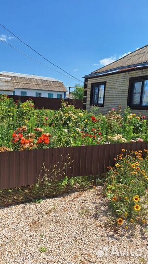 Отдых в ст.Должанской