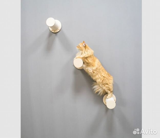 Игровой комплекс для кошки настенная когтеточка
