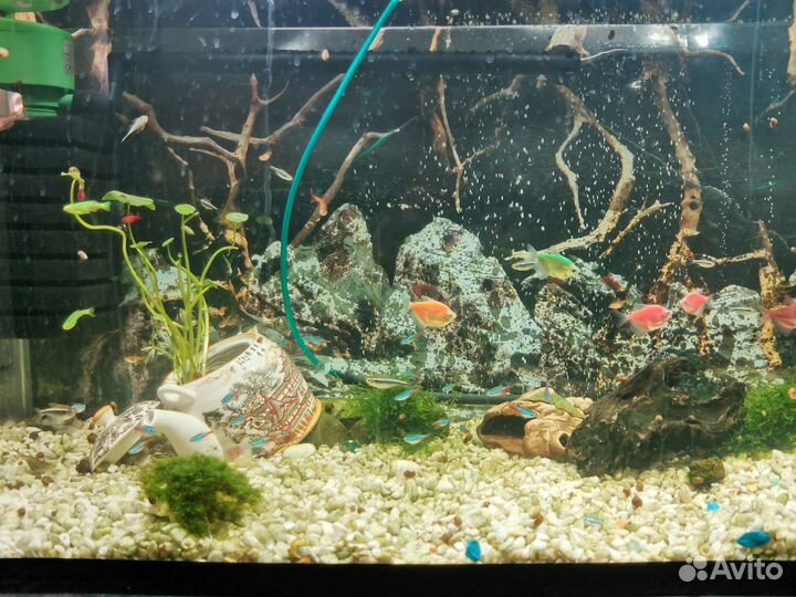 Аквариум 200 литров и все для него