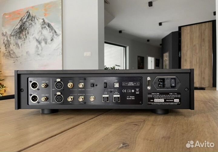 Сетевой стример DCS Bartok Headphone D/A Converter
