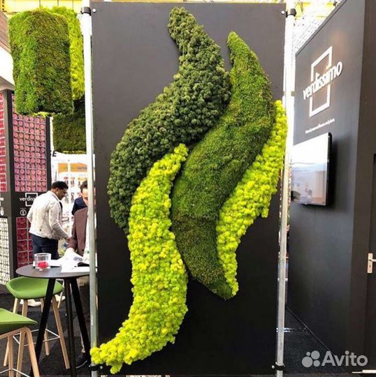 Мох стабилизированный фитокартина