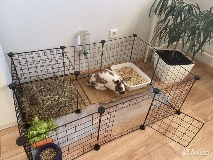 Клетка вольер для кролика. Новый