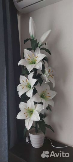 Ростовые цветы