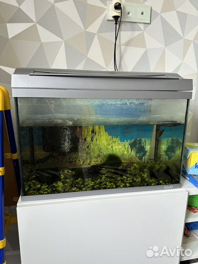 Аквариум Tetra