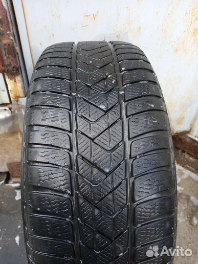 Pirelli P Zero II 245/45 R18 и 275/40 R18 100
