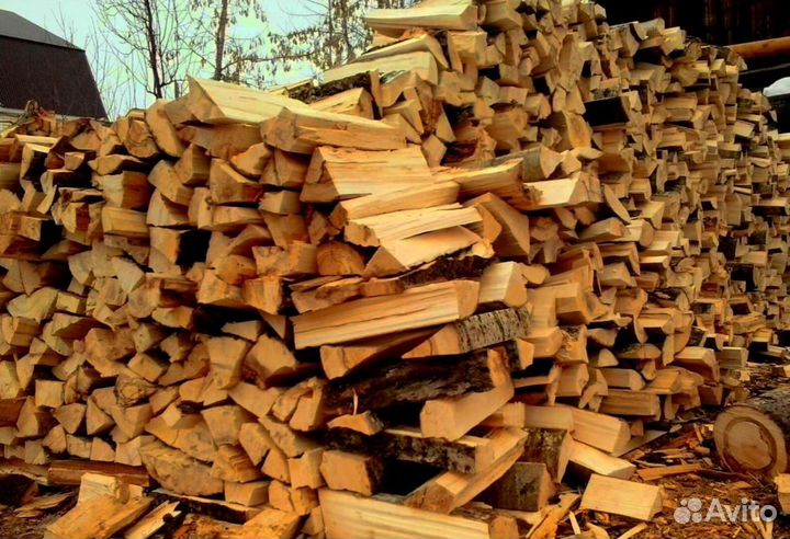 Дрова Береза