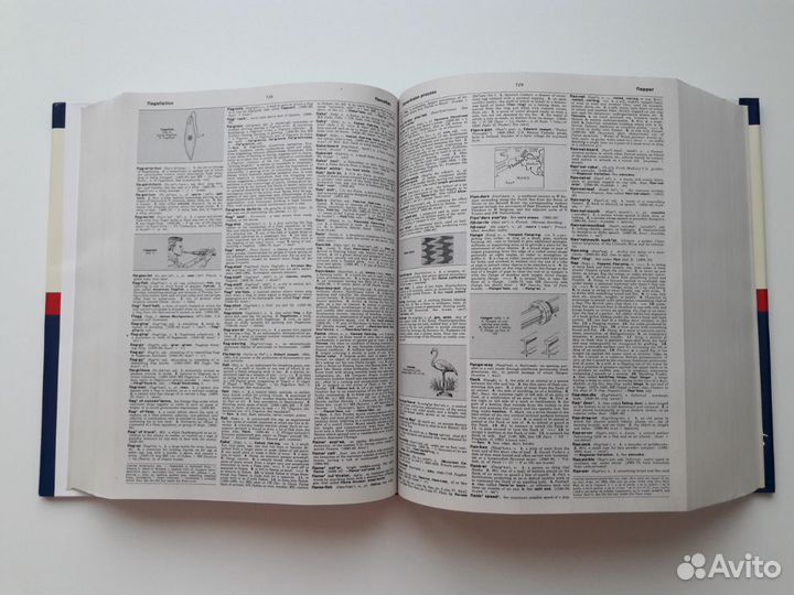 Словарь Webster американская толковая энциклопедия