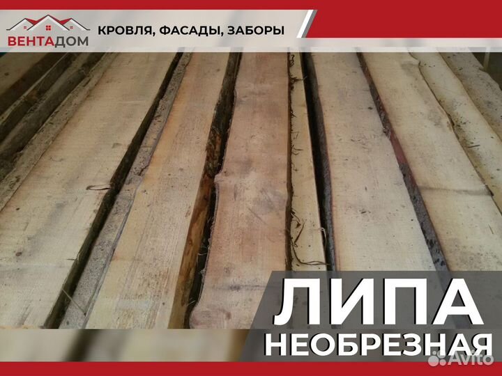 Липа леший