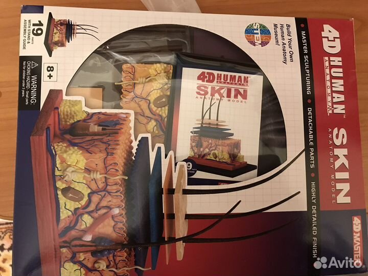 Модель кожи 4D