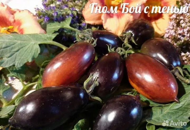 Томаты низкорослые (гномы)