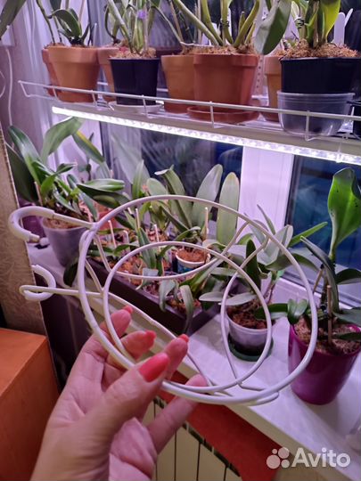 Горшочки и держатели для цветов