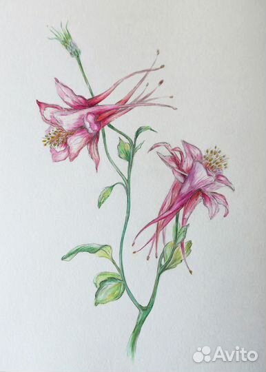 Картина / постер 