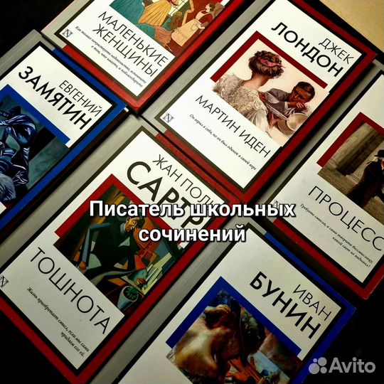 Пишу сочинения по русскому/литературе