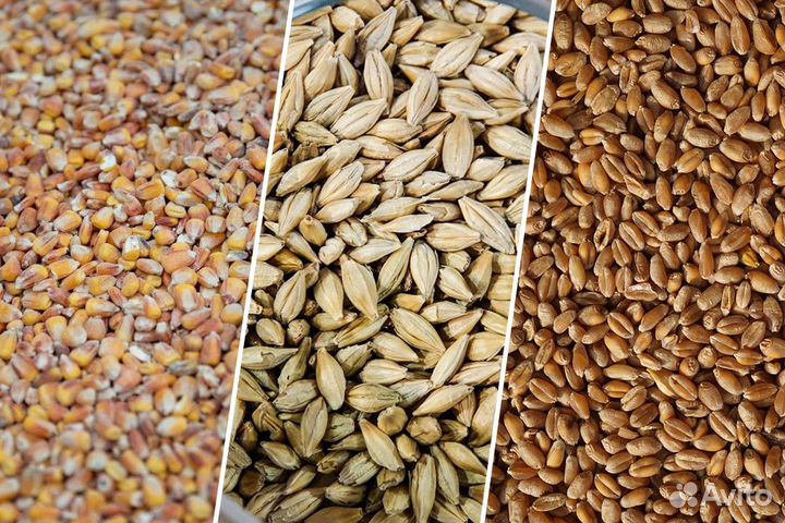 Продам зерно, комбикорм,сено,мед,яйца,мясо