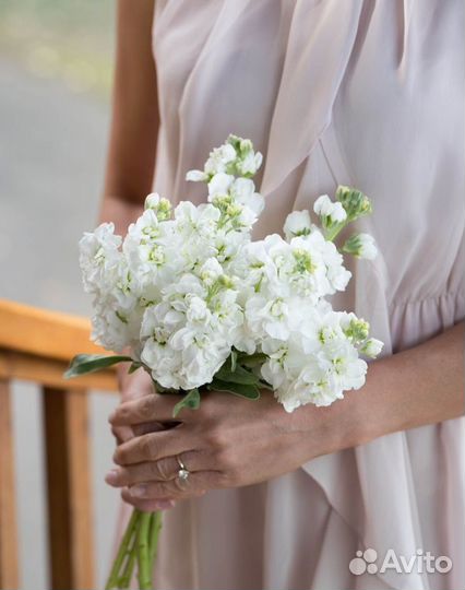 Свадебный букет невесты Цветы