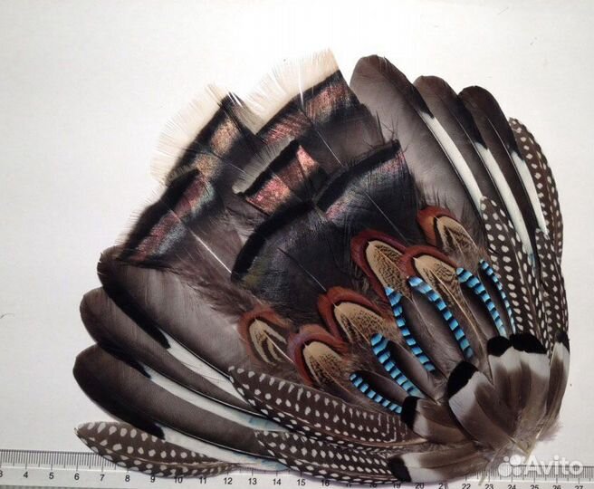 Перья для костюма индейца