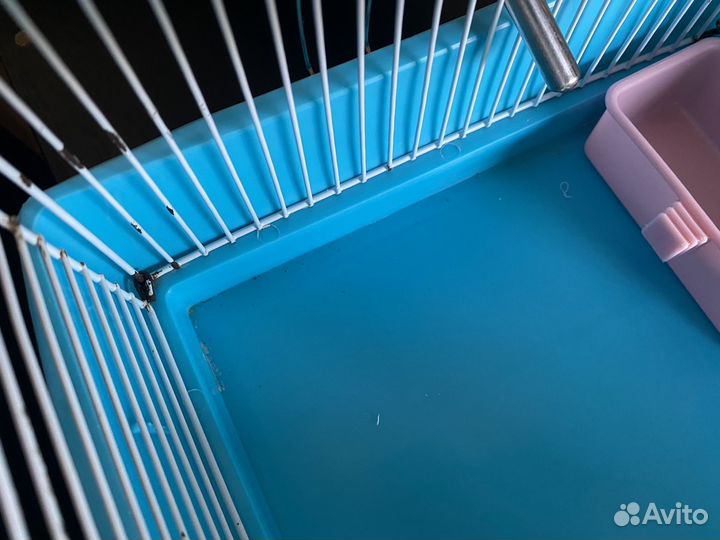 Клетка для грызунов бу