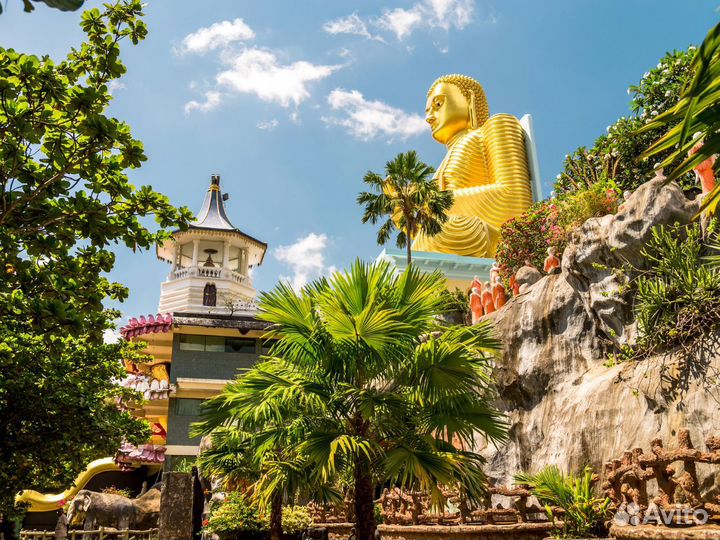 Тур на Sri-Lanka на 7 ночей за двоих чел