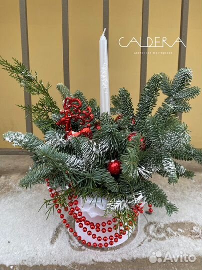 Зимняя композиция из нобилиса (не осыпается)