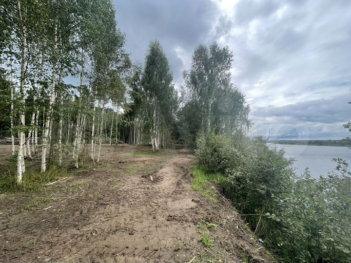 Участок 54 сот. (ИЖС)