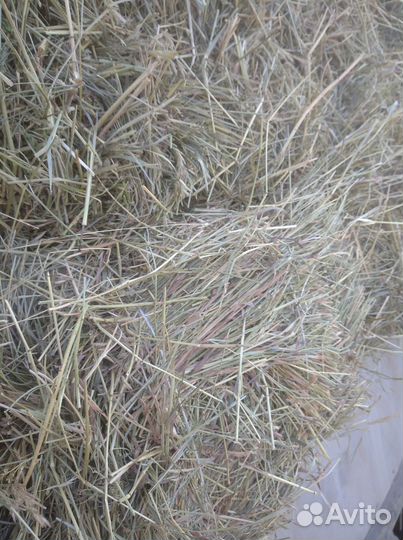 Сено в тюках с бесплатной доставкой