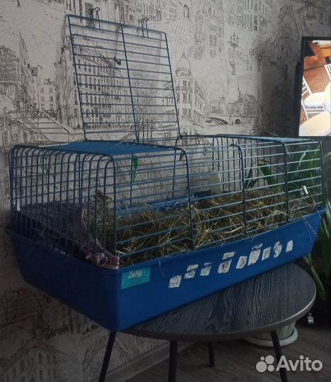 Клетка для грызунов