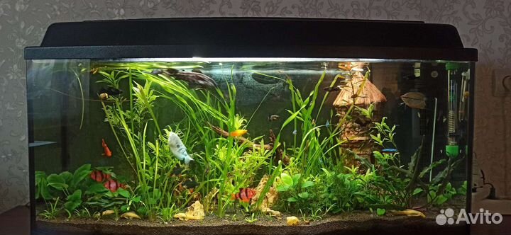 Аквариум 150литров