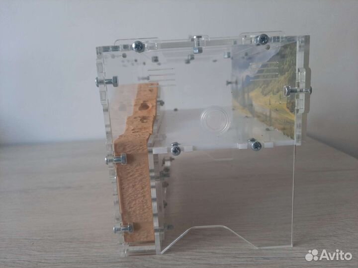 Вертикальная муравьиная ферма