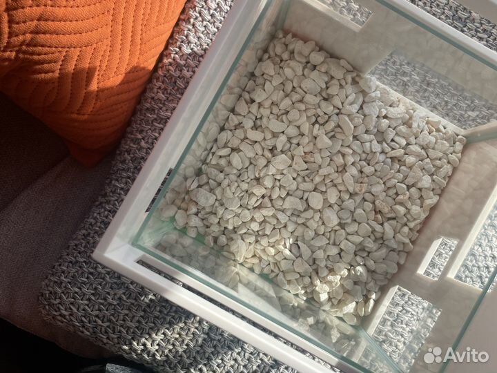 Аквариум для петушка 18х18х20 см