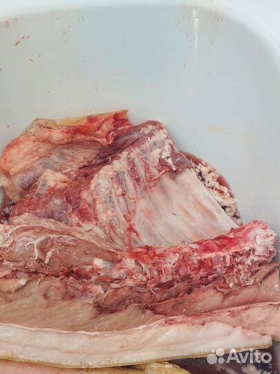Мясо свинины ребра