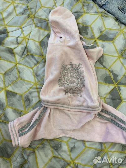 Одежда для маленьких собак