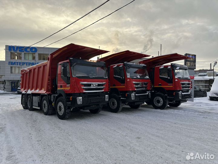 AMT N.V. 752901, 2024