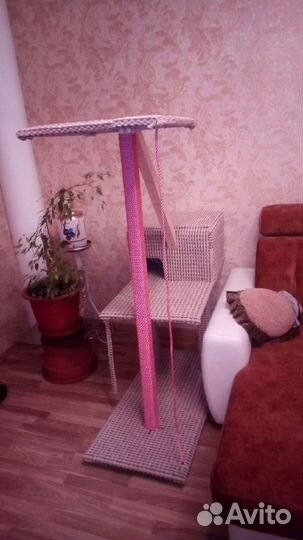 Кошачий домик